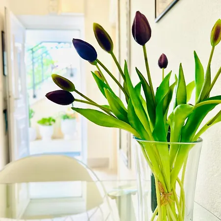 Апартаменты Charming Seaside *